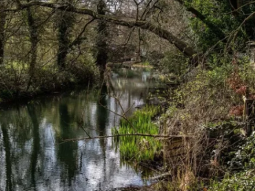 Malmesbury River Festival - Opening Reception